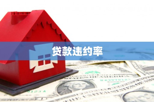 呈贡贷款违约率