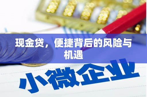 呈贡现金贷，便捷背后的风险与机遇