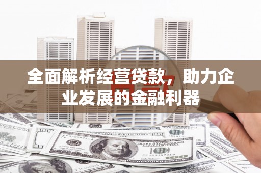 呈贡全面解析经营贷款，助力企业发展的金融利器