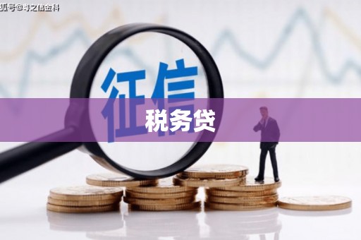 呈贡税务贷