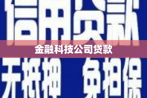 呈贡金融科技公司贷款