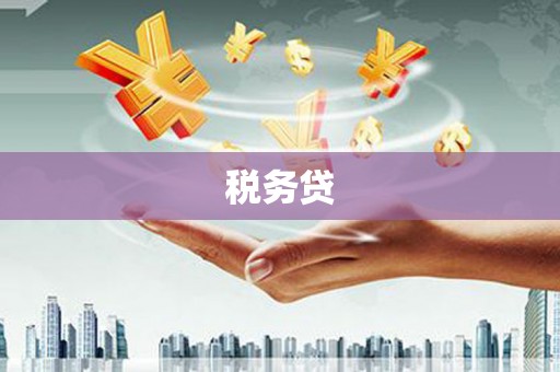 呈贡税务贷