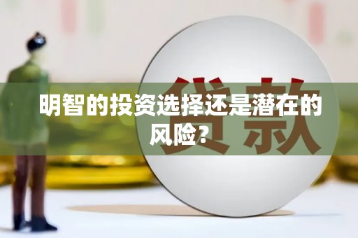 呈贡明智的投资选择还是潜在的风险？
