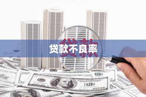 呈贡贷款不良率