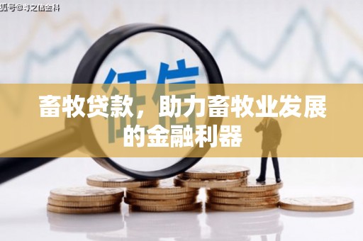 呈贡畜牧贷款，助力畜牧业发展的金融利器