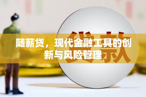 呈贡随薪贷，现代金融工具的创新与风险管理