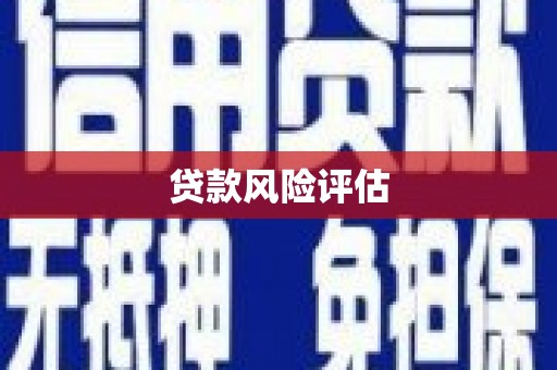 呈贡贷款风险评估