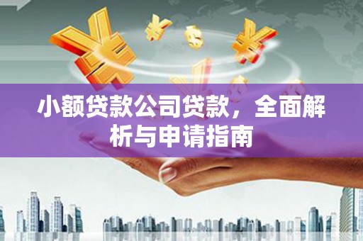 呈贡小额贷款公司贷款，全面解析与申请指南