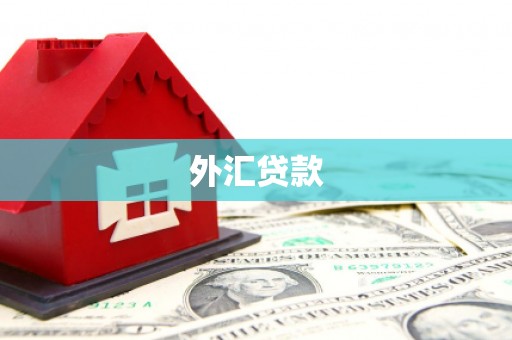 呈贡外汇贷款