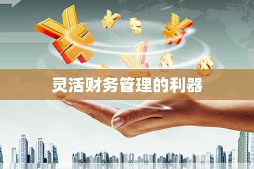 呈贡灵活财务管理的利器