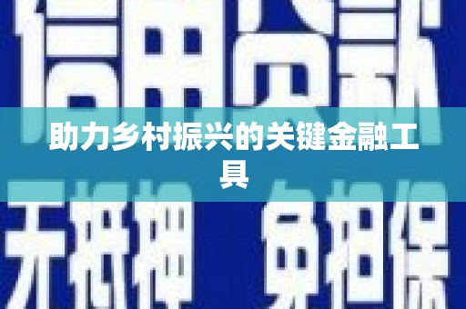 呈贡助力乡村振兴的关键金融工具