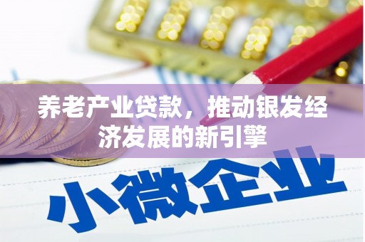 呈贡养老产业贷款，推动银发经济发展的新引擎