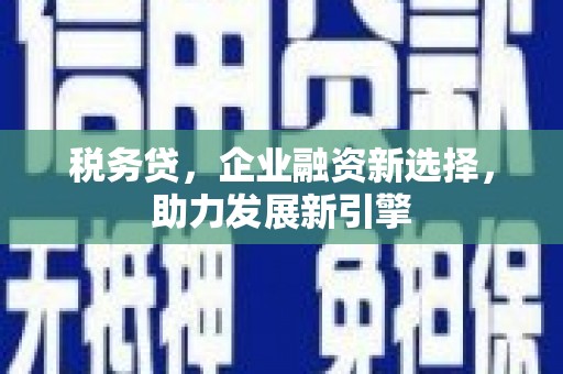呈贡税务贷，企业融资新选择，助力发展新引擎
