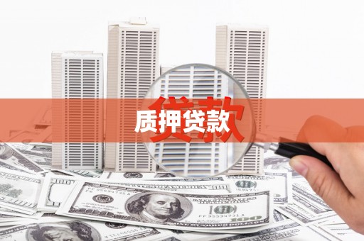 呈贡质押贷款