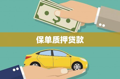 呈贡保单质押贷款