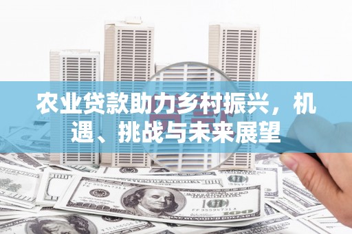 呈贡农业贷款助力乡村振兴，机遇、挑战与未来展望