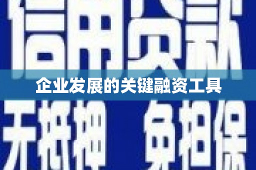 呈贡企业发展的关键融资工具