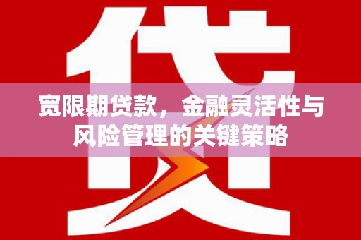 呈贡宽限期贷款，金融灵活性与风险管理的关键策略