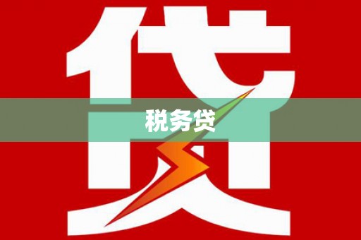 呈贡税务贷