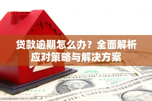 呈贡贷款逾期怎么办？全面解析应对策略与解决方案