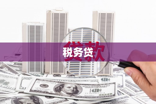 呈贡税务贷