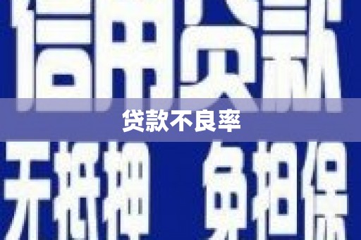 呈贡贷款不良率