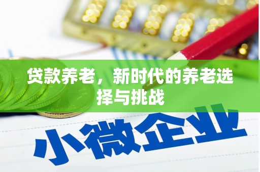 呈贡贷款养老，新时代的养老选择与挑战