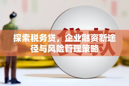 呈贡探索税务贷，企业融资新途径与风险管理策略