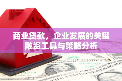 呈贡商业贷款，企业发展的关键融资工具与策略分析
