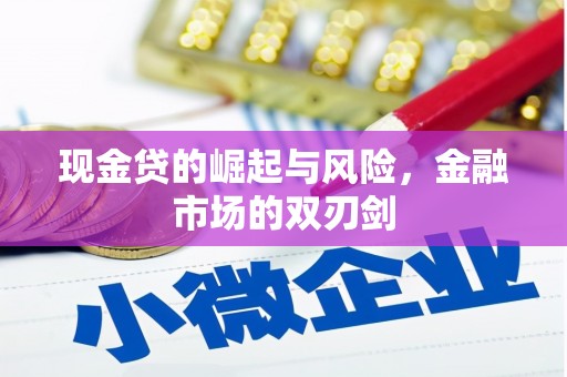 呈贡现金贷的崛起与风险，金融市场的双刃剑