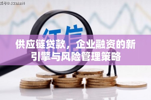 呈贡供应链贷款，企业融资的新引擎与风险管理策略