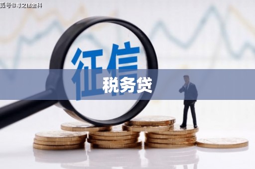 呈贡税务贷