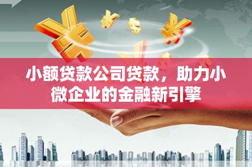 呈贡小额贷款公司贷款，助力小微企业的金融新引擎