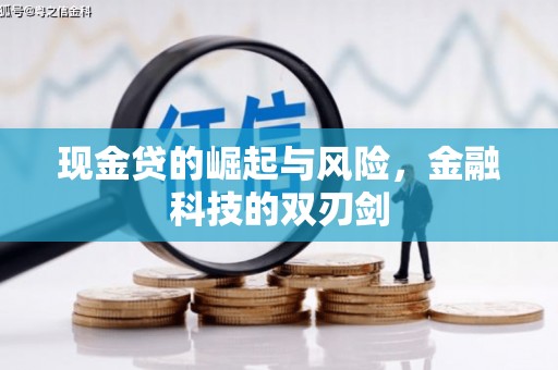 呈贡现金贷的崛起与风险，金融科技的双刃剑