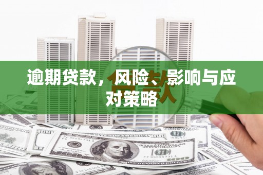 呈贡逾期贷款，风险、影响与应对策略