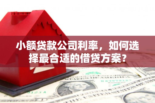 呈贡小额贷款公司利率，如何选择最合适的借贷方案？
