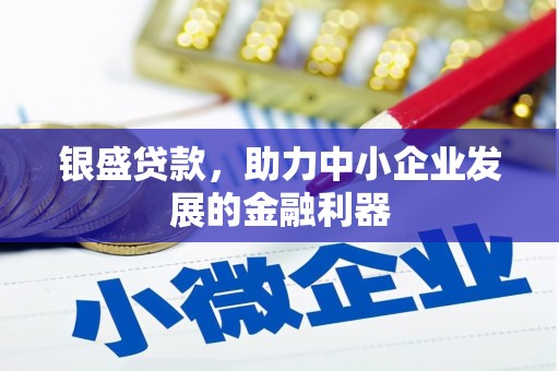 呈贡银盛贷款，助力中小企业发展的金融利器