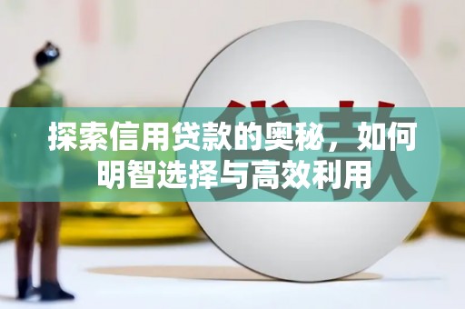 呈贡探索信用贷款的奥秘，如何明智选择与高效利用