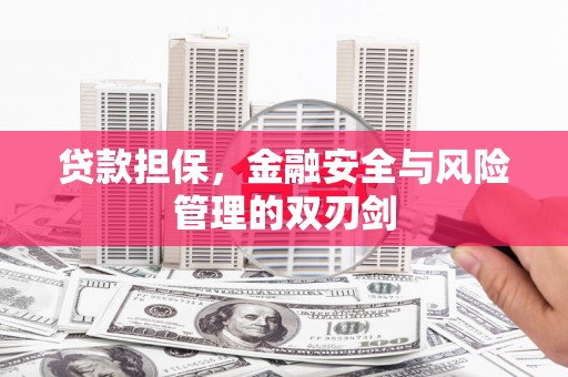 呈贡贷款担保，金融安全与风险管理的双刃剑