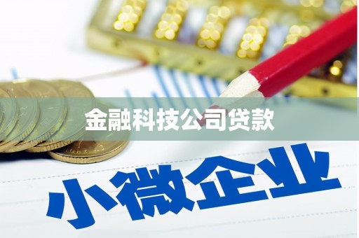 呈贡金融科技公司贷款