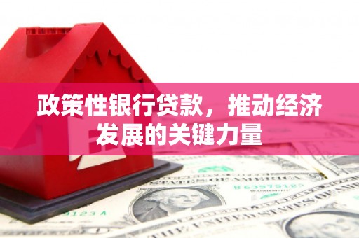 呈贡政策性银行贷款，推动经济发展的关键力量