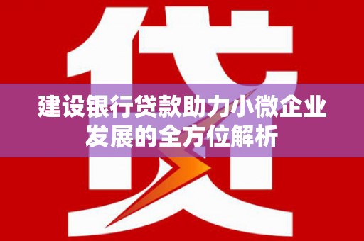 呈贡建设银行贷款助力小微企业发展的全方位解析