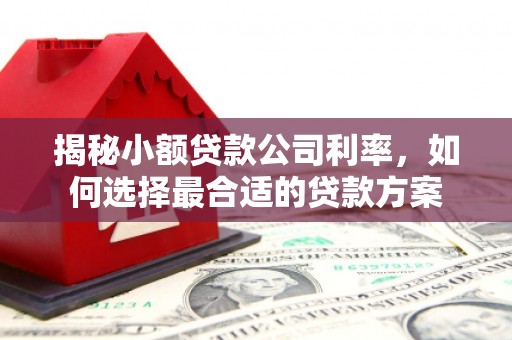 呈贡揭秘小额贷款公司利率，如何选择最合适的贷款方案