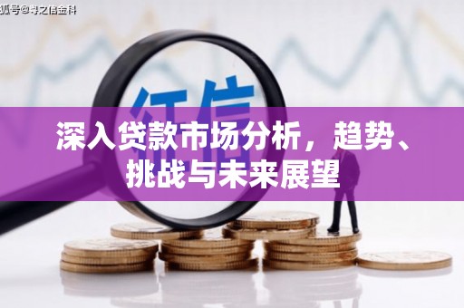 呈贡深入贷款市场分析，趋势、挑战与未来展望