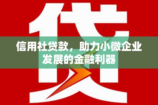 呈贡信用社贷款，助力小微企业发展的金融利器