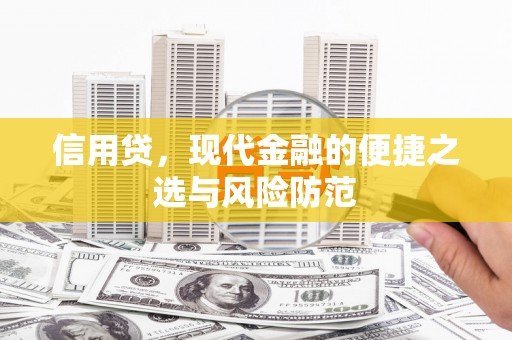 呈贡信用贷，现代金融的便捷之选与风险防范