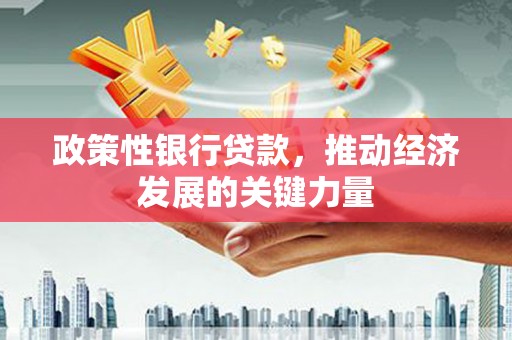 呈贡政策性银行贷款，推动经济发展的关键力量