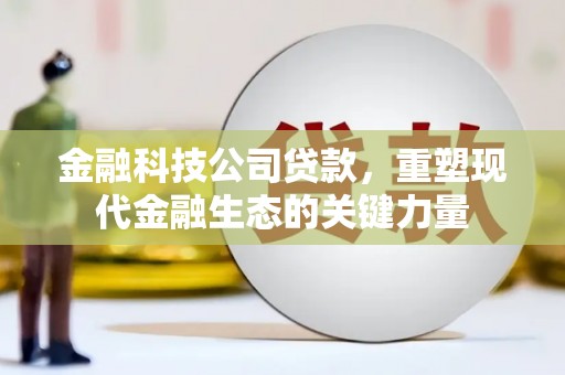 呈贡金融科技公司贷款，重塑现代金融生态的关键力量