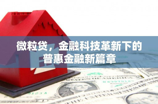 呈贡微粒贷，金融科技革新下的普惠金融新篇章