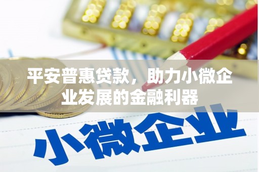 呈贡平安普惠贷款，助力小微企业发展的金融利器